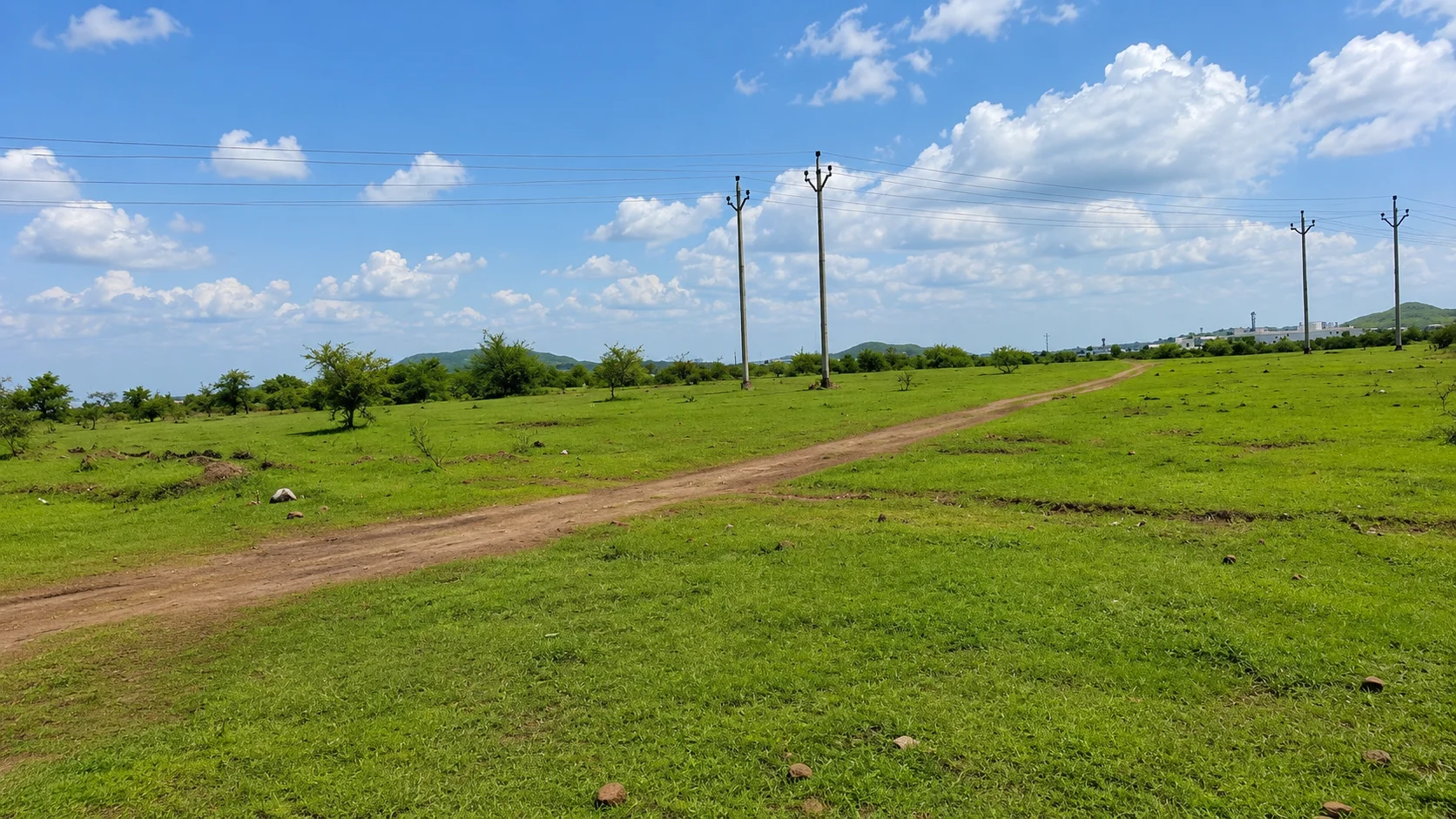Premium Industrial Land